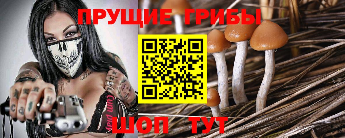 Галлюциногенные грибы Psilocybe  Псилоцибиновые грибы GOLDEN TEACHER  Октябрьский  Вход с VPN 